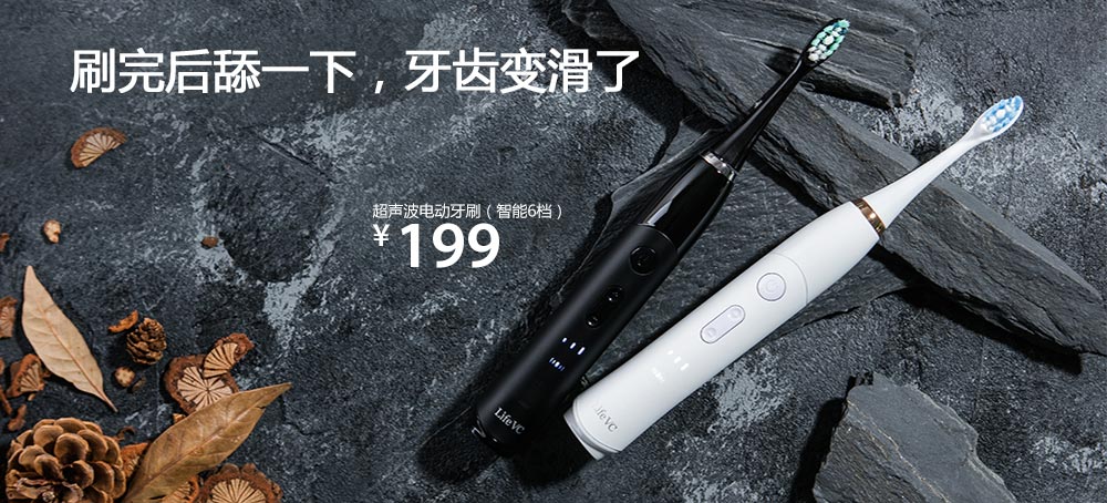 超声波电动牙刷刷头替换装(2个)
